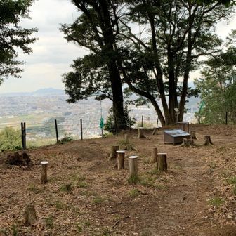 矢岳・城山 城山＝岩門城跡