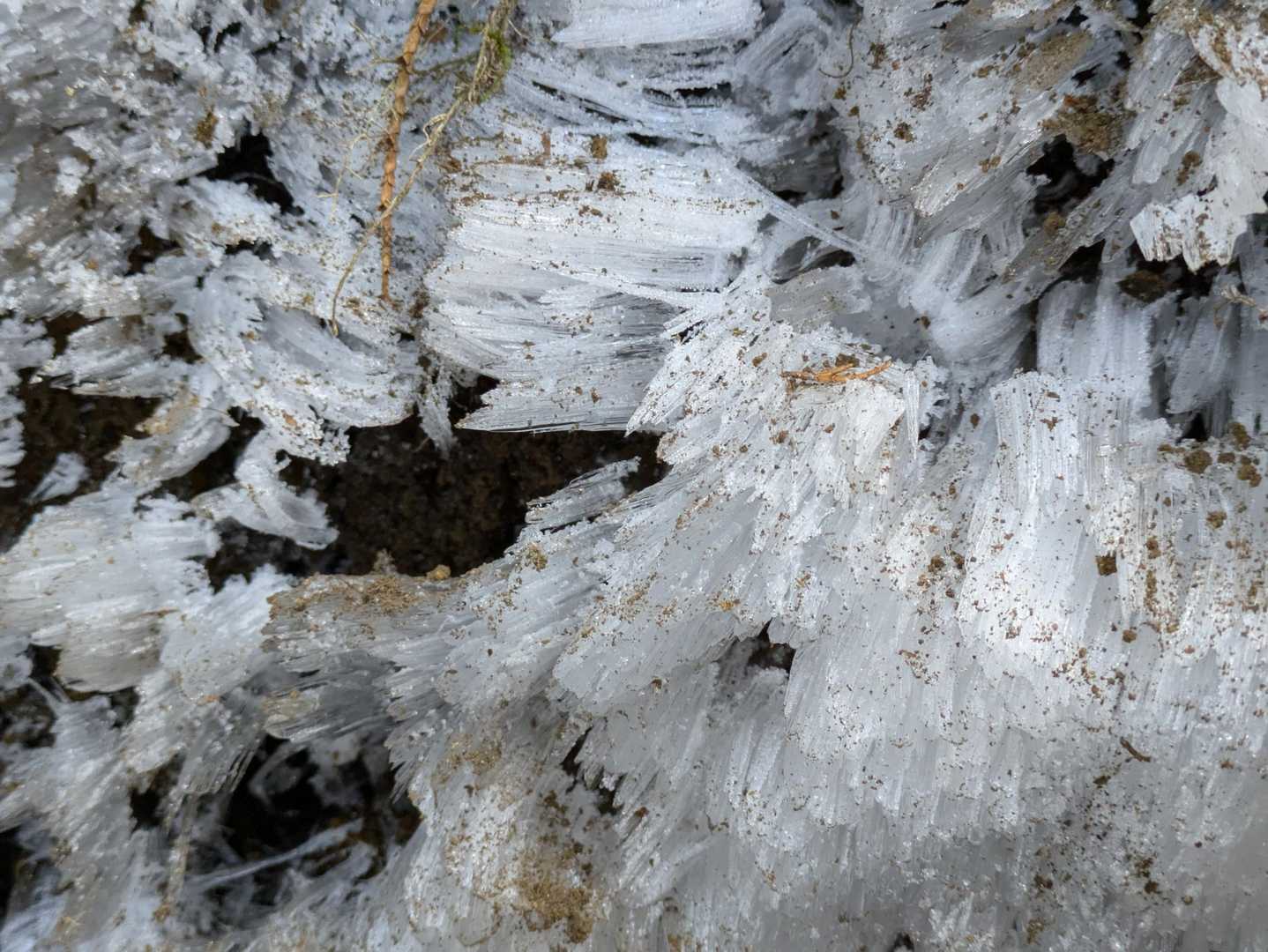 登山道の霜柱
きれい〜✨