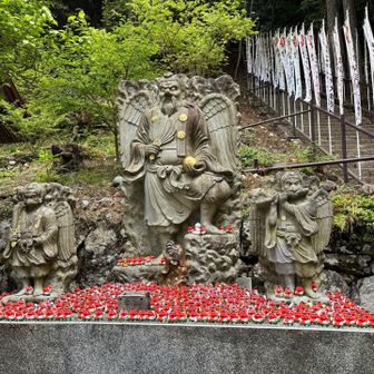 奉幣殿に降りてきました