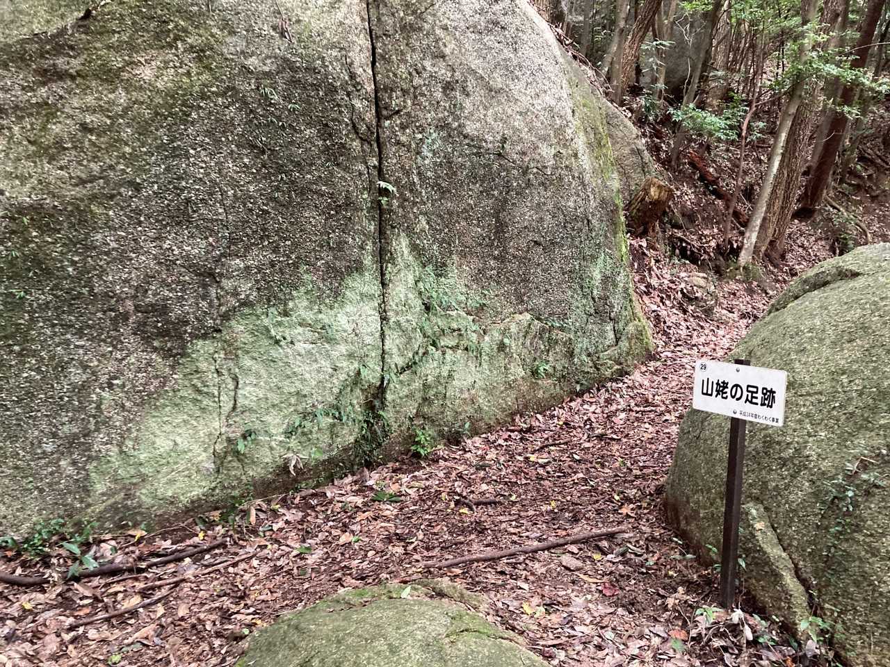 どれが　山姥の足跡か　全く　わからなかった〜😭