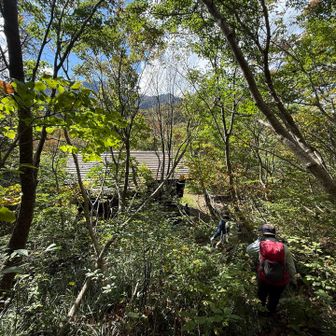 大休峠
さっさと下り…