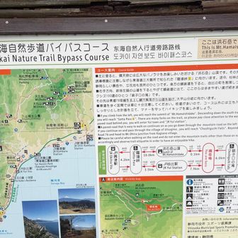 この辺りは、東海自然歩道のバイパスコースのよう。静岡の東海道自然歩道もいつかは歩き丹沢まで繋げてみたいな。難しいと思うけど🤣