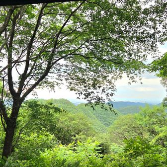 気温22℃  静かで鳥の声だけが聴こえる憩いの場😌