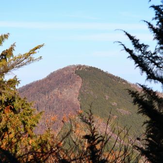 そして、武甲山の削られていない雄姿。