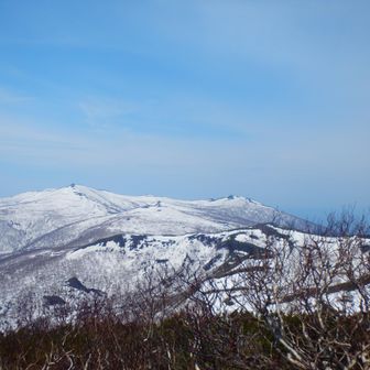 目国内方向
