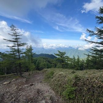 急斜面を登り上がって振り返りみる景色。今日の富士山はお休みでした