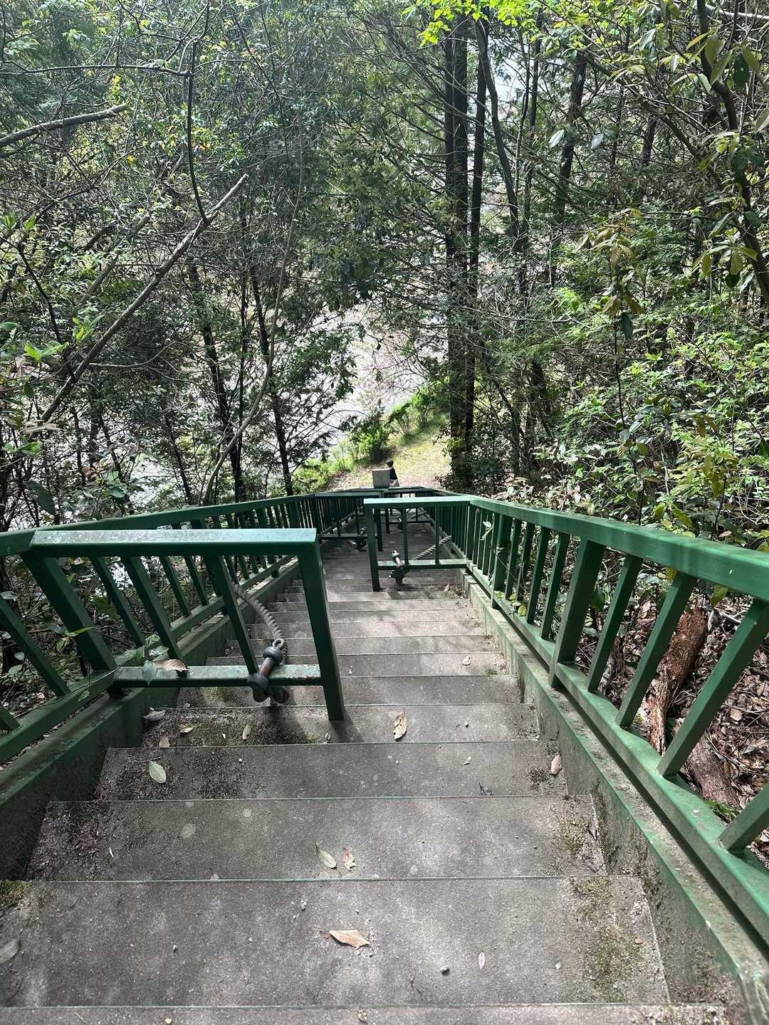 城ヶ根山展望台登り口-城ヶ根山 往復コースの写真