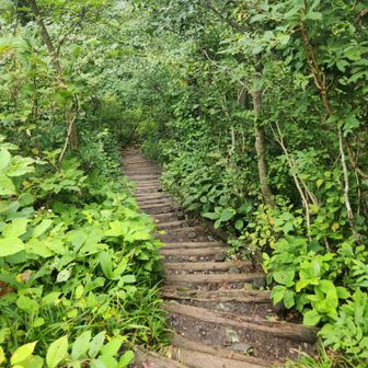 下りは神社方面のコース