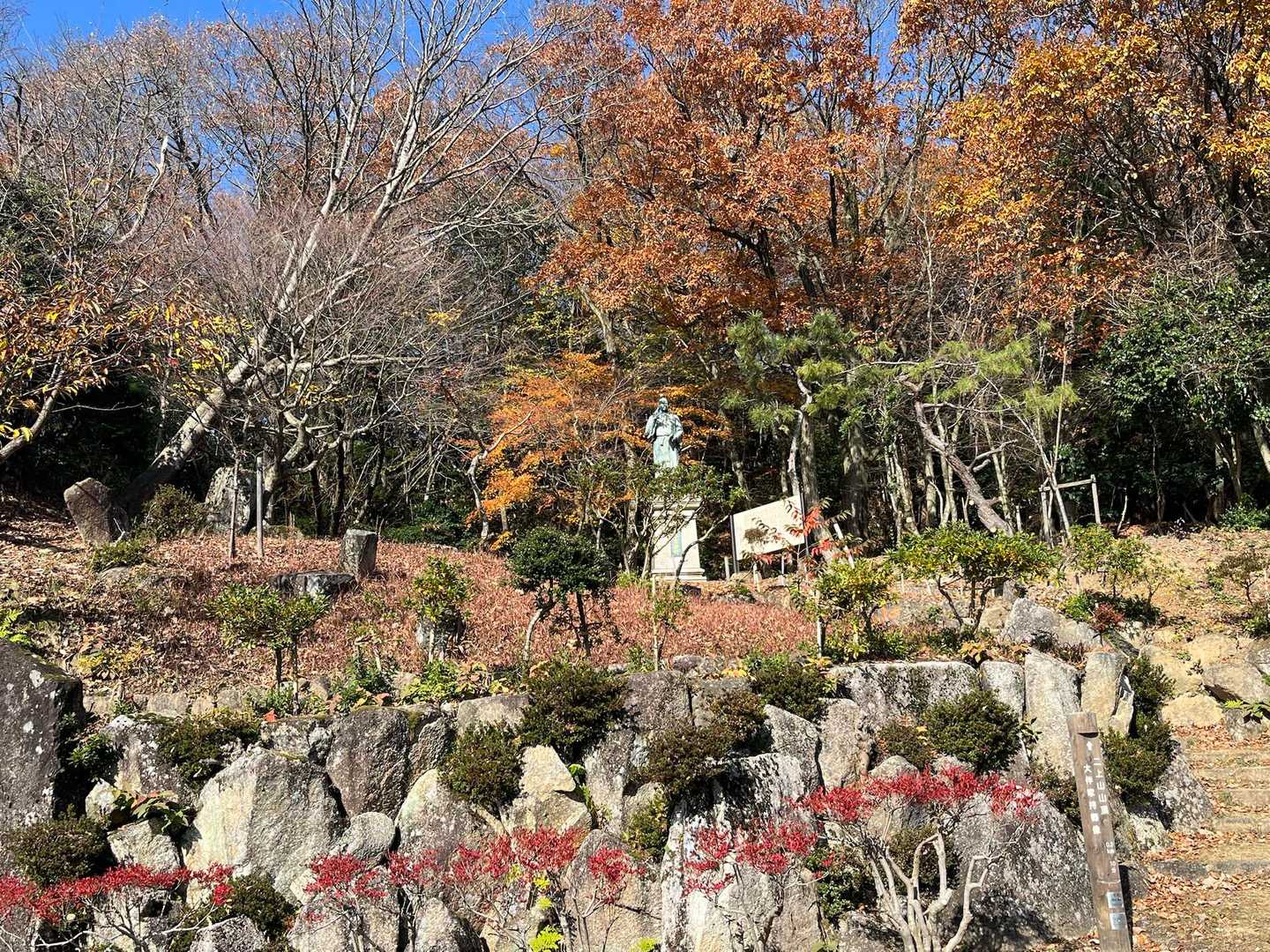 だいぶ落葉してます🍂