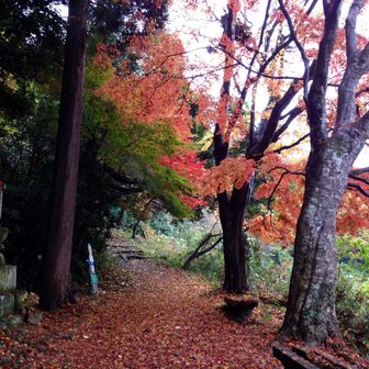 朝日寺 住職です🙏