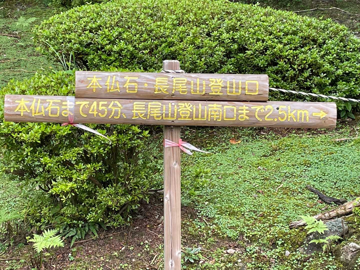 ここから2.5km、道路歩き😓