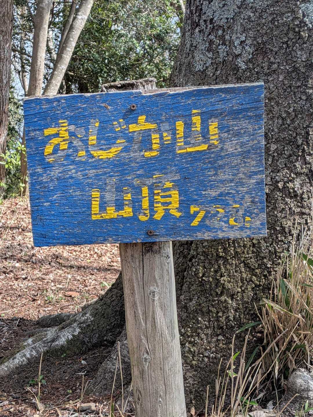 志高湖畔バス停-小鹿山 周回コースの写真