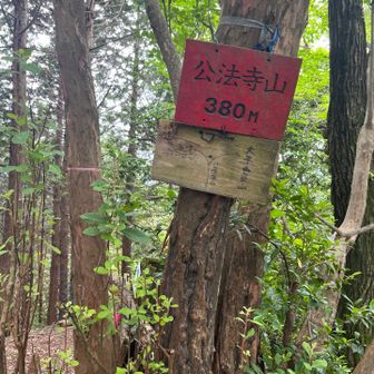 公法事山ピーク