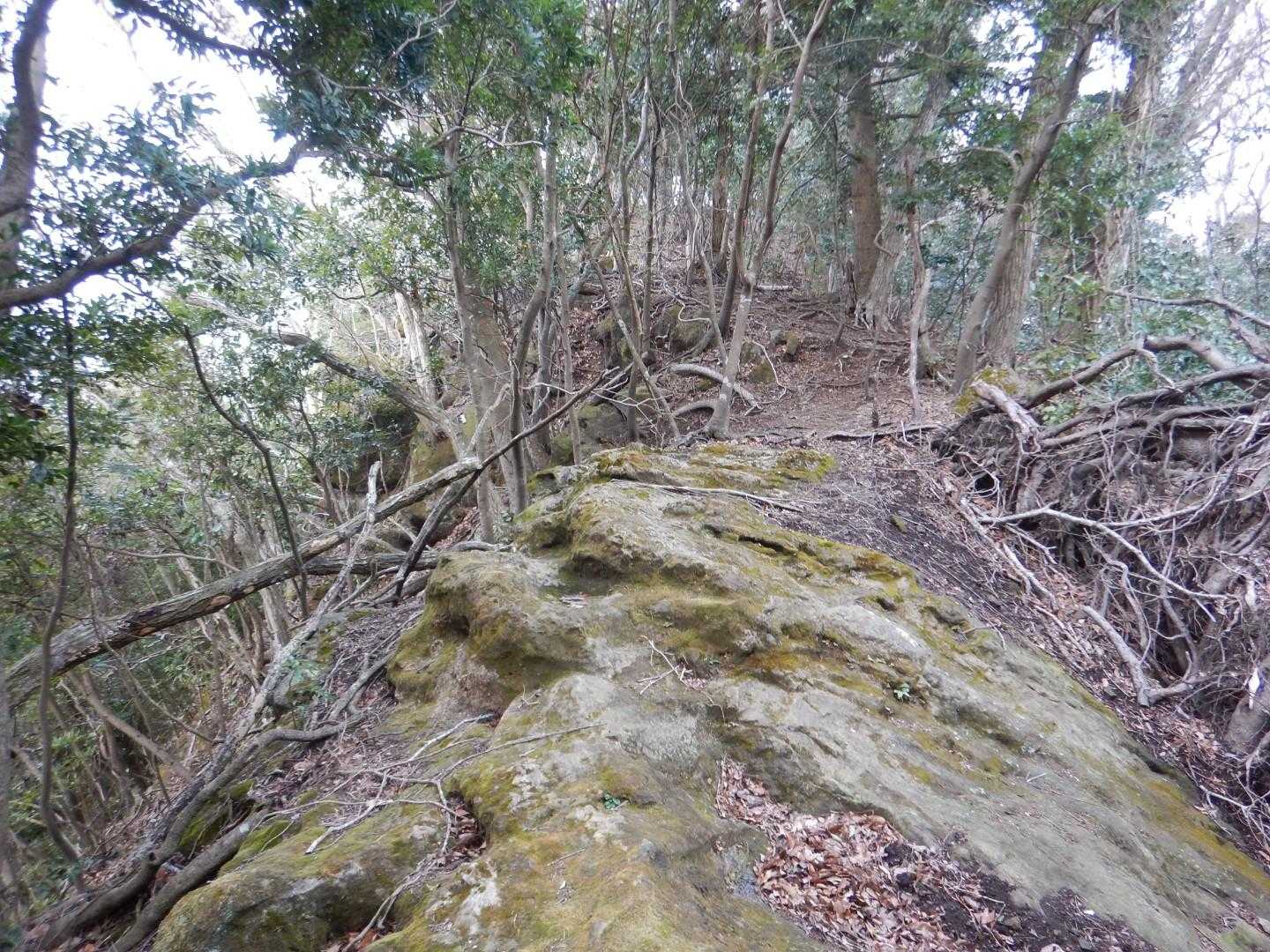 登り下りが続く尾根筋
