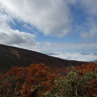大岳と雲海✨
