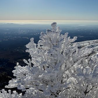 こんなのばっかり撮ってました😅