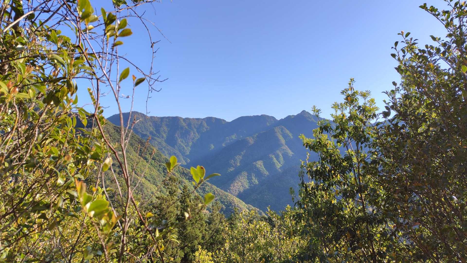 あちらに見えるのは古ヶ丸山と白倉山ですが
もしかして、その左側の凸は江股ノ頭では！？