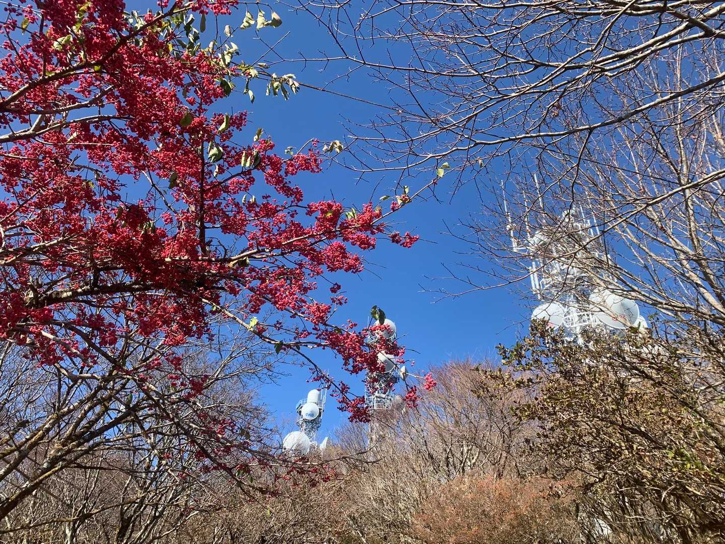 ロープウェイ登山口-火男火売神社-鶴見岳-南平台 往復コースの写真
