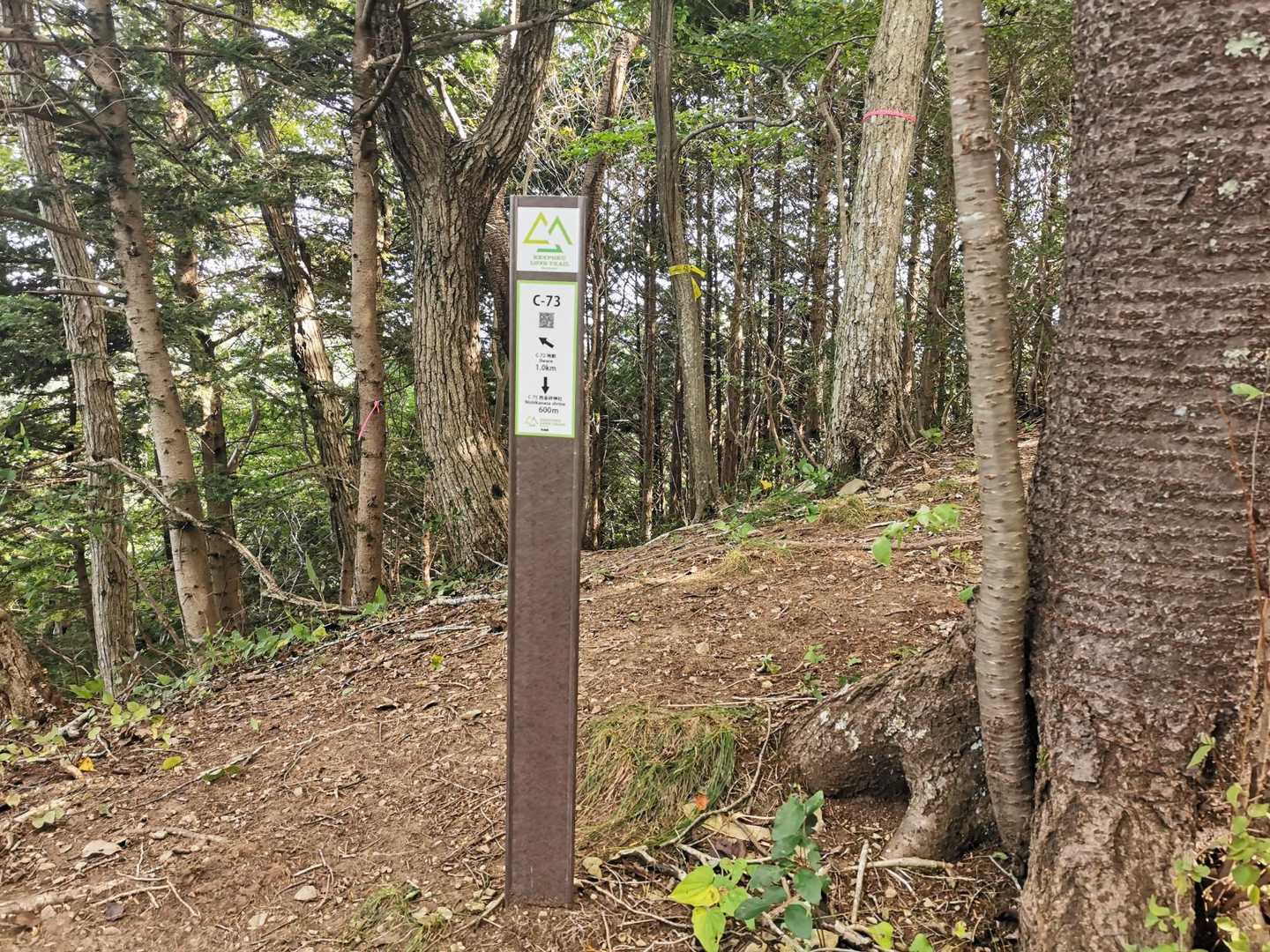“茨城県北ロングトレイル”が出来て、登山道が整備されました。とてもありがたいです。
同じような景色が続く山歩きの中、この標識を見ると安心して元気が出ます。