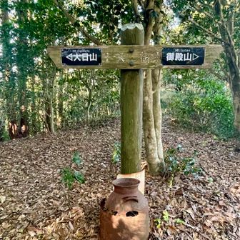 次のピークに着いちゃったけど、展望がひらけた場所なんてなかったよ！？