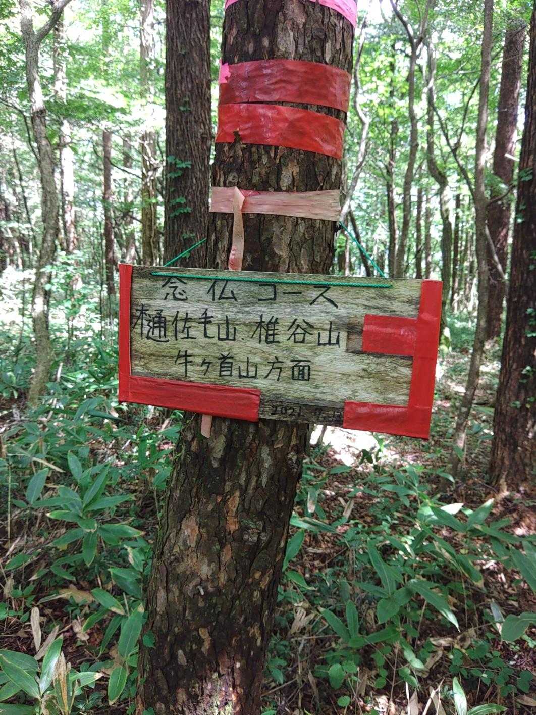 さらに縦走路もあるようです。