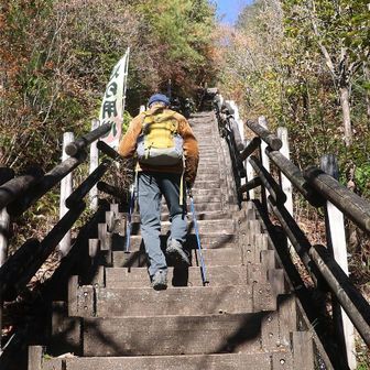 階段を上がります