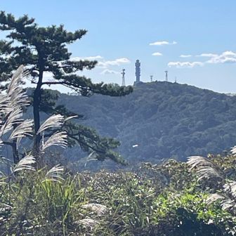高鈴山