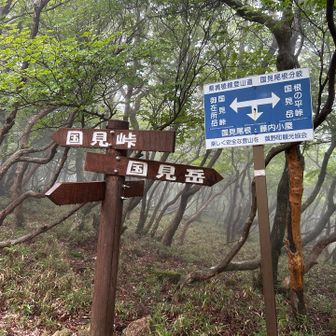 県境稜線到着