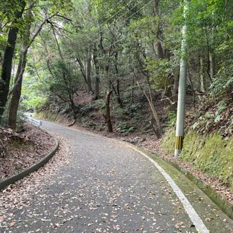 朝7時井野公園集合☀️
暑いから7時は満車になる勢い