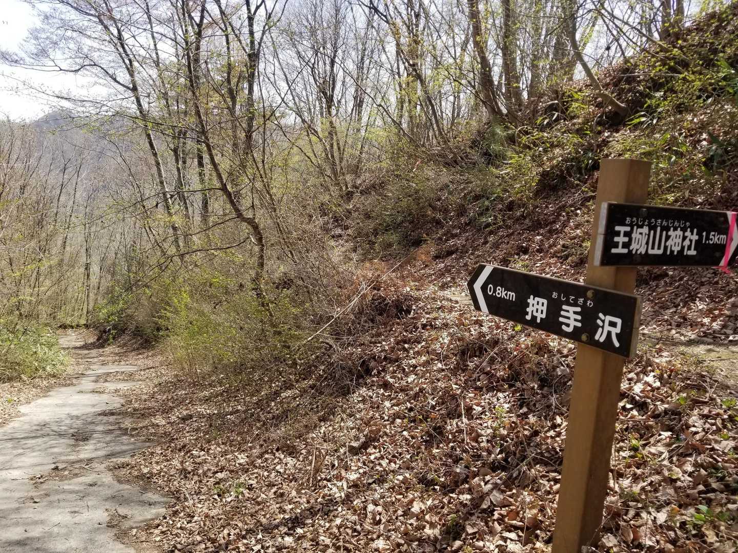 復路は押手沢沿いに下ったら水辺のお花でも見れるかな～？って思ったのですが...