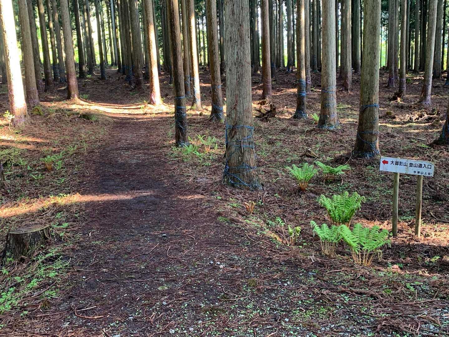 展望広場-大御影山 往復コースの写真