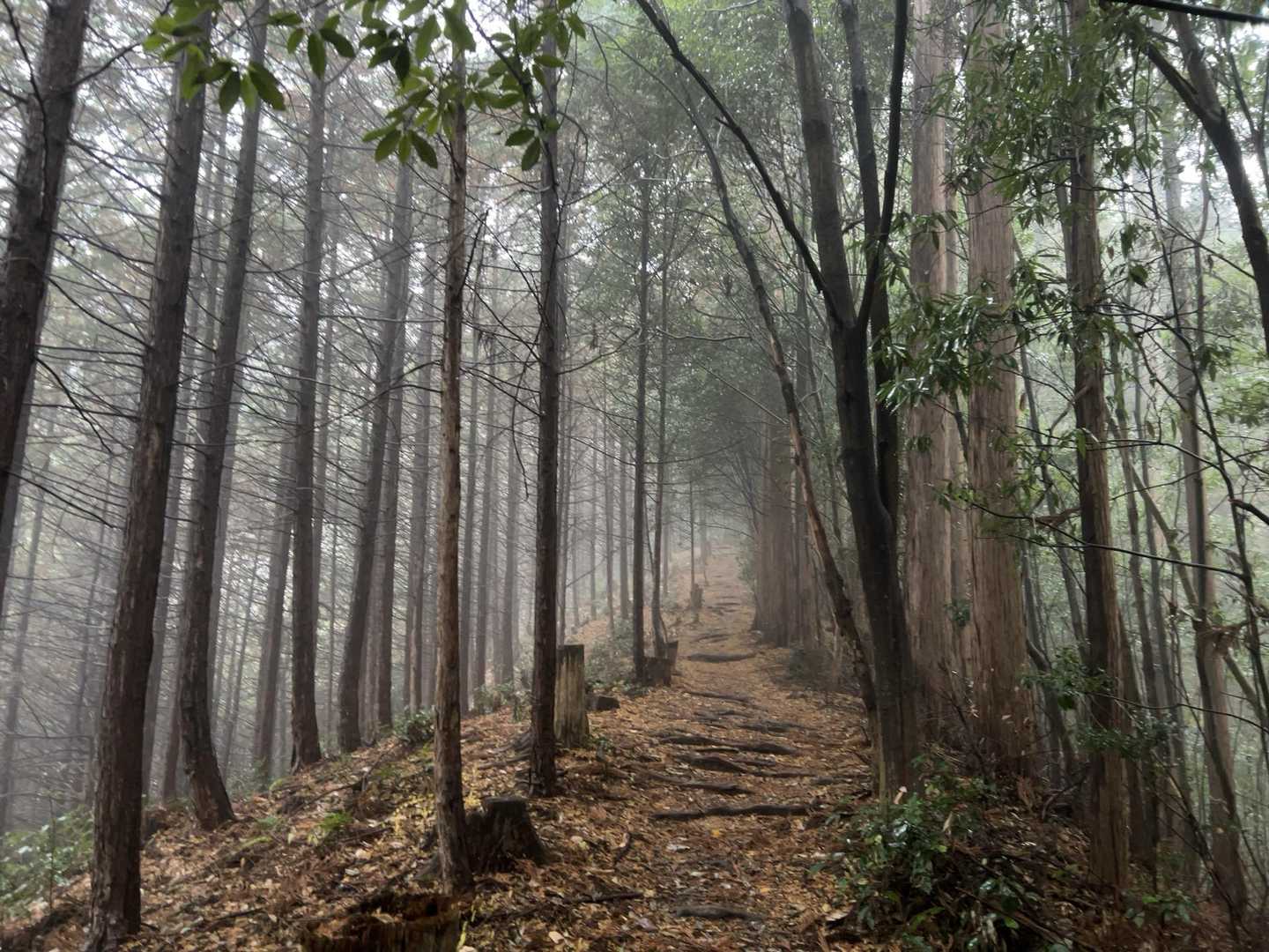 天気は終始 小雨。