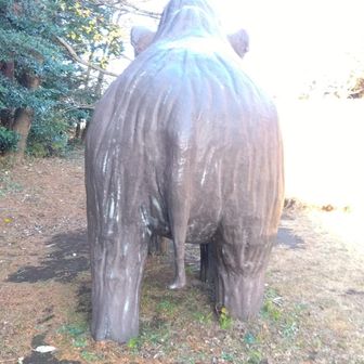 マンモスのおしり❤️