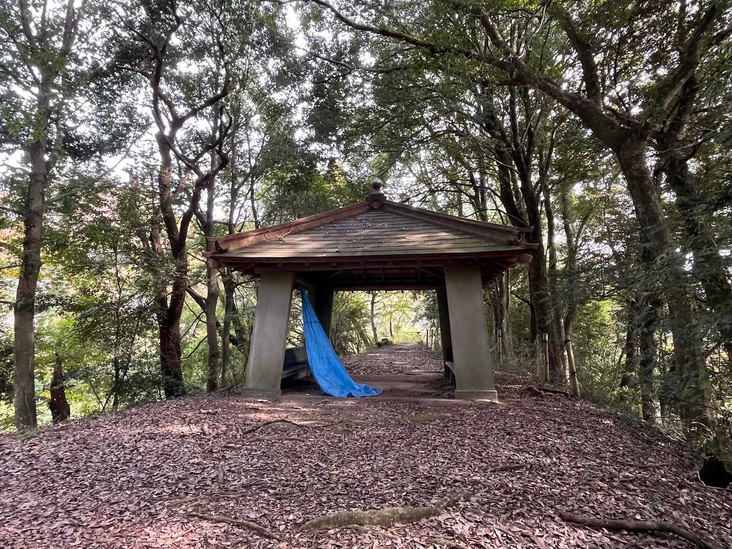 山でブルーシートを見かけるとビビる😓