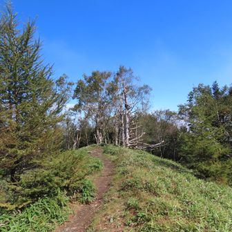 振り返ると青空のが天狗棚山