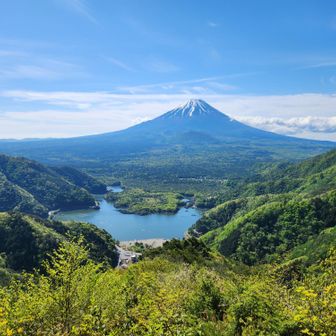 ビューポイントからの景色。駐車場・精進湖・富士山が移る絶景の景色。