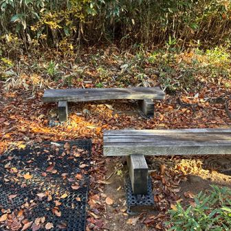 登山道が良く整備されていて、ベンチも多めです。