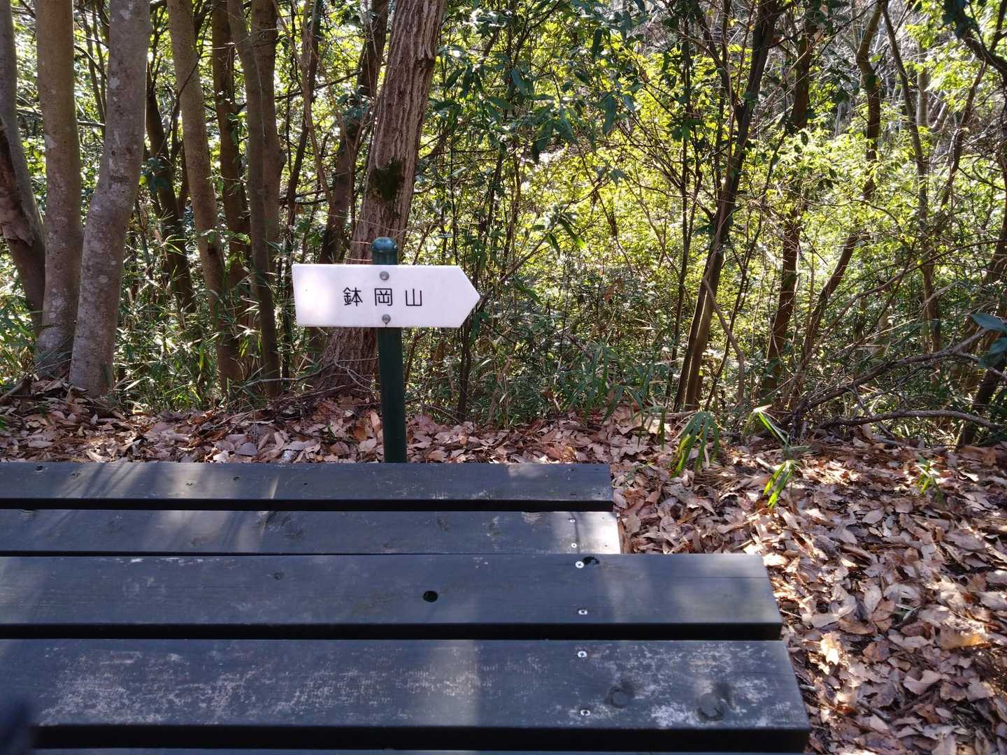 ここから折り返して鉢岡山へ。ここにもベンチあり。コース上、山頂以外にもベンチが設置されているので、とてもありがたいです⤴️この先、アルプスの北側は音はなく静かになります👍