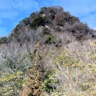 振り返るととんがり山山頂。