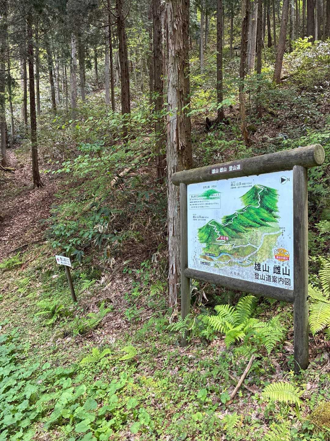 ようやく登山道がスタート💪
林道歩きがけっこう長かった😳
