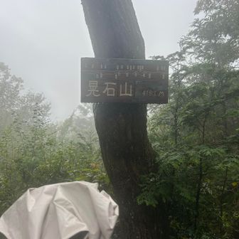 山頂真っ白でしたー😇