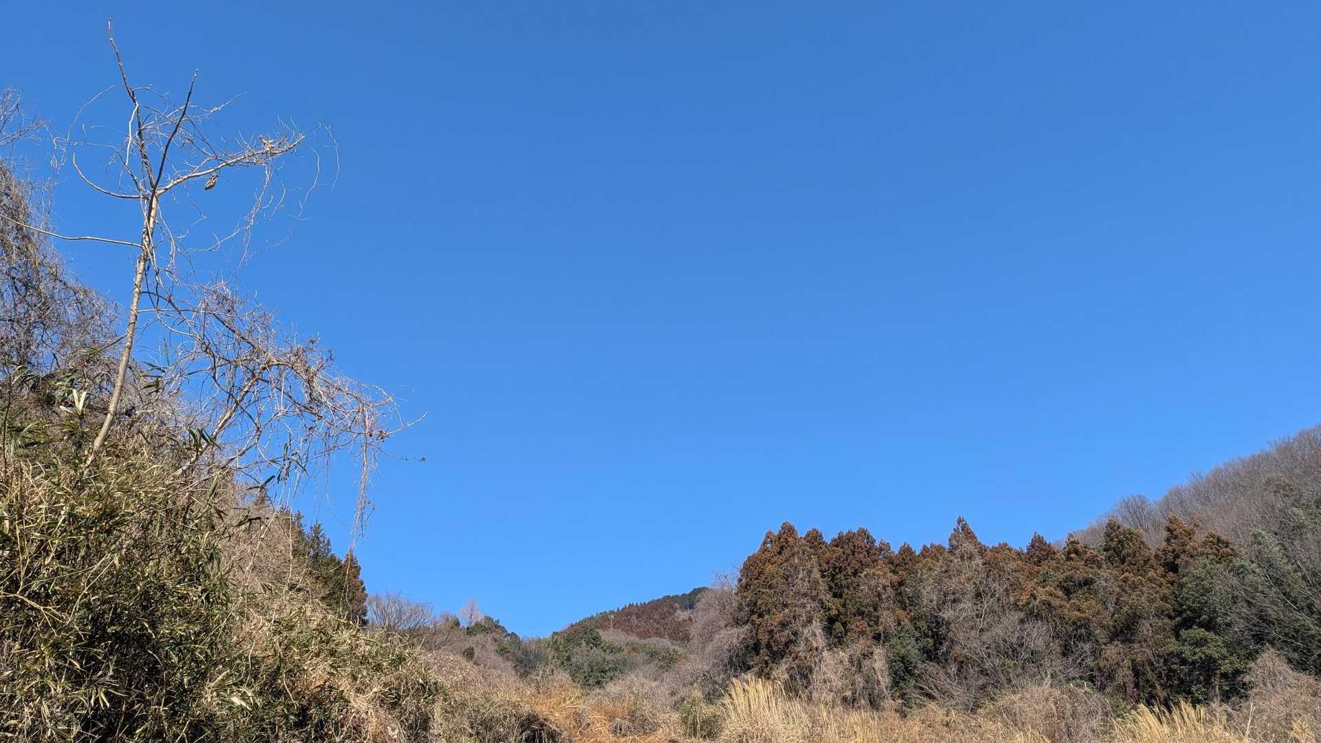 それにしてもいい天気♪🟦☀
風もなくて、歩いているとポカポカでいい陽気です✨