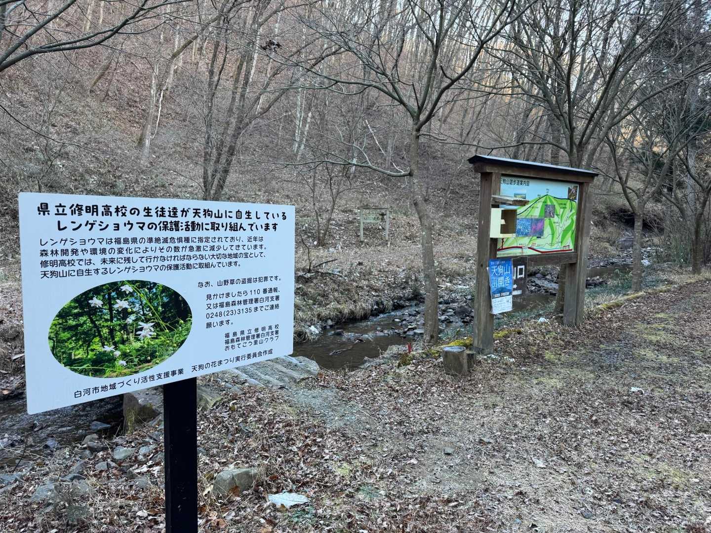 ここから
お花の時期はいろいろありそう