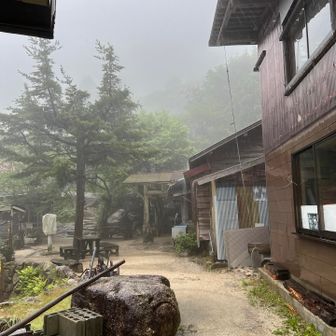 下山は、めっちゃ元気
