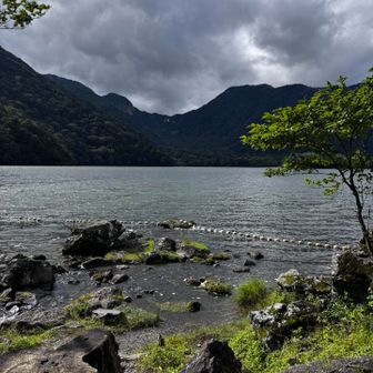 ちょっと風がでてきました