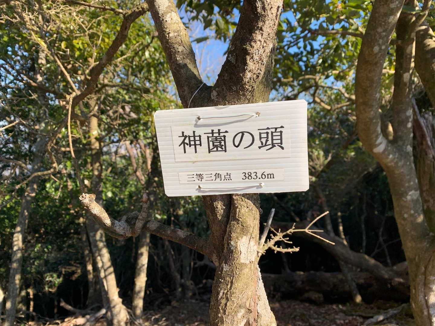 神薗の頭に到着！