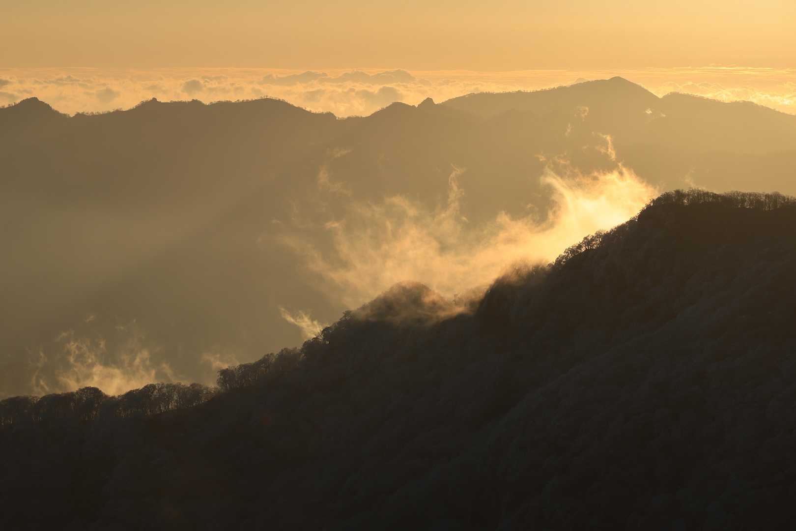 四季見橋登山口-親父山-障子岳 往復コースの写真