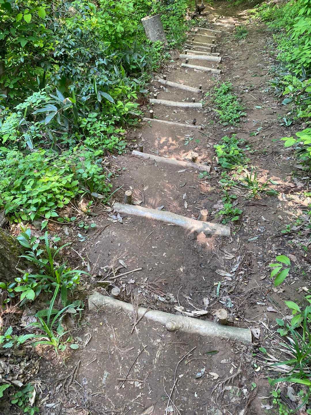 大正寺コースも、整備してくださってあります
