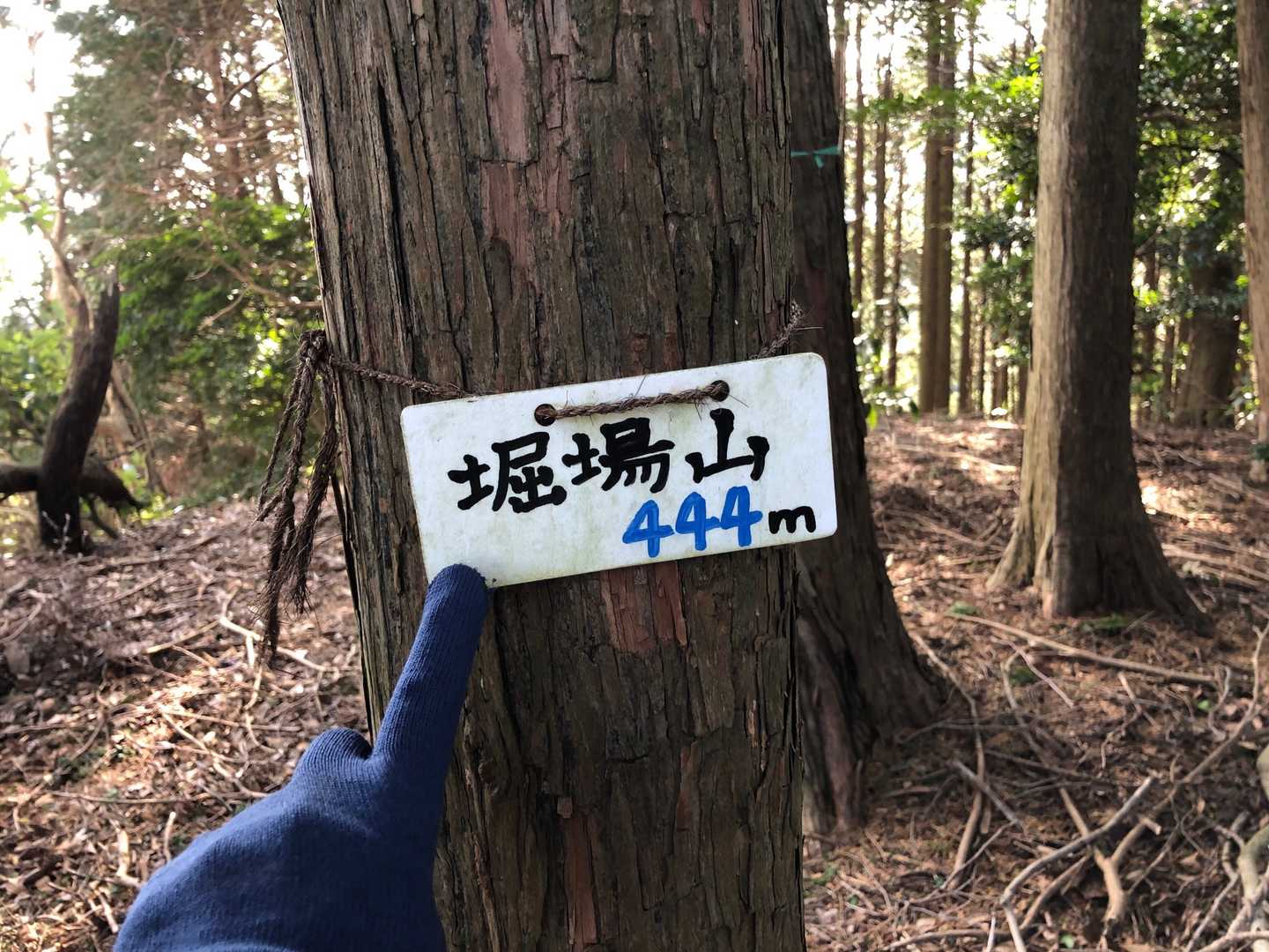 堀場山