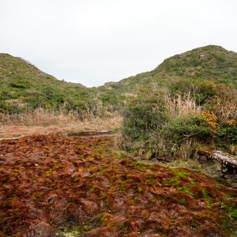 ハート形に見える不動池も今日は水なし
